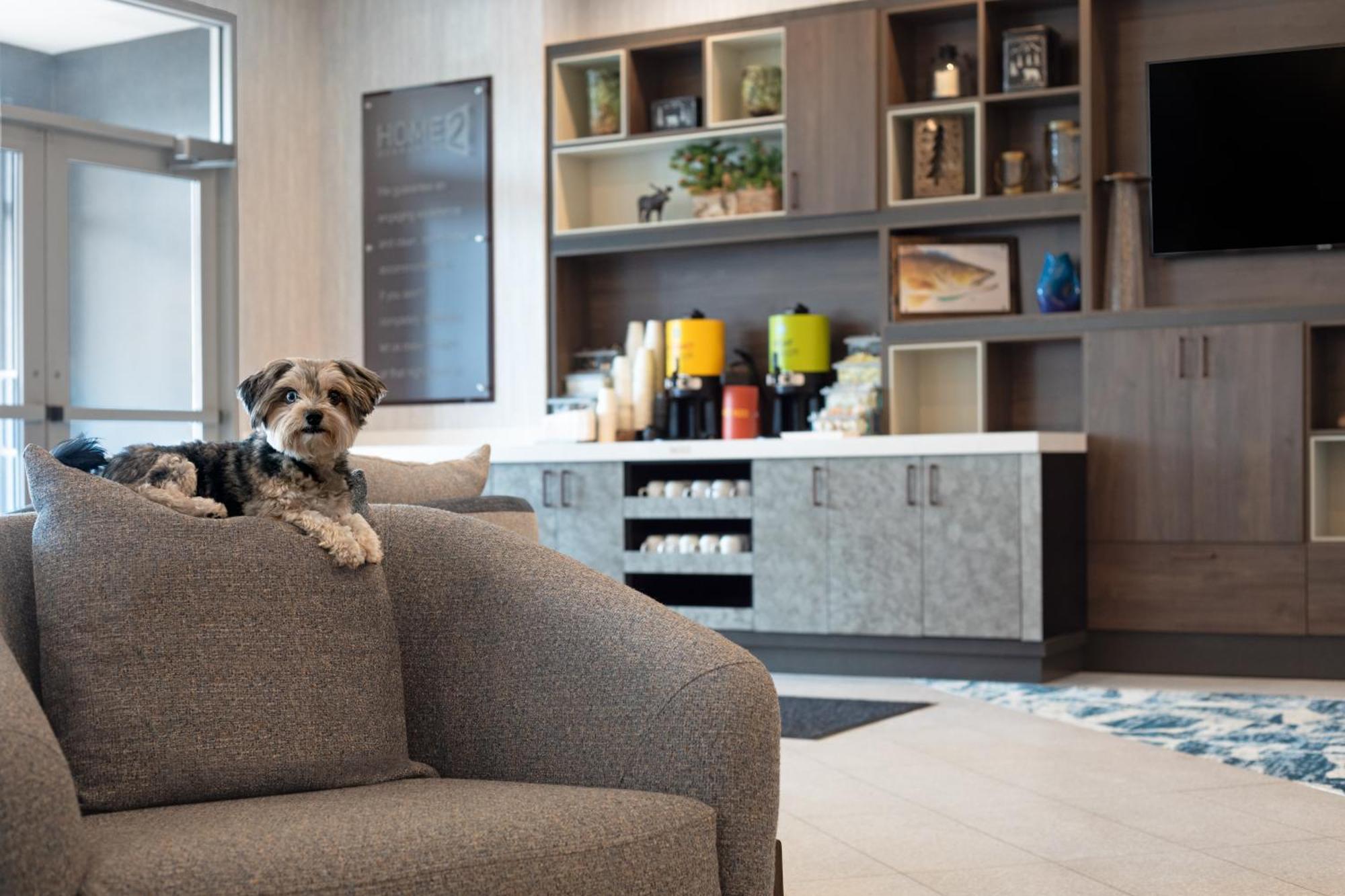Home2 Suites By Hilton ハンツビル エクステリア 写真